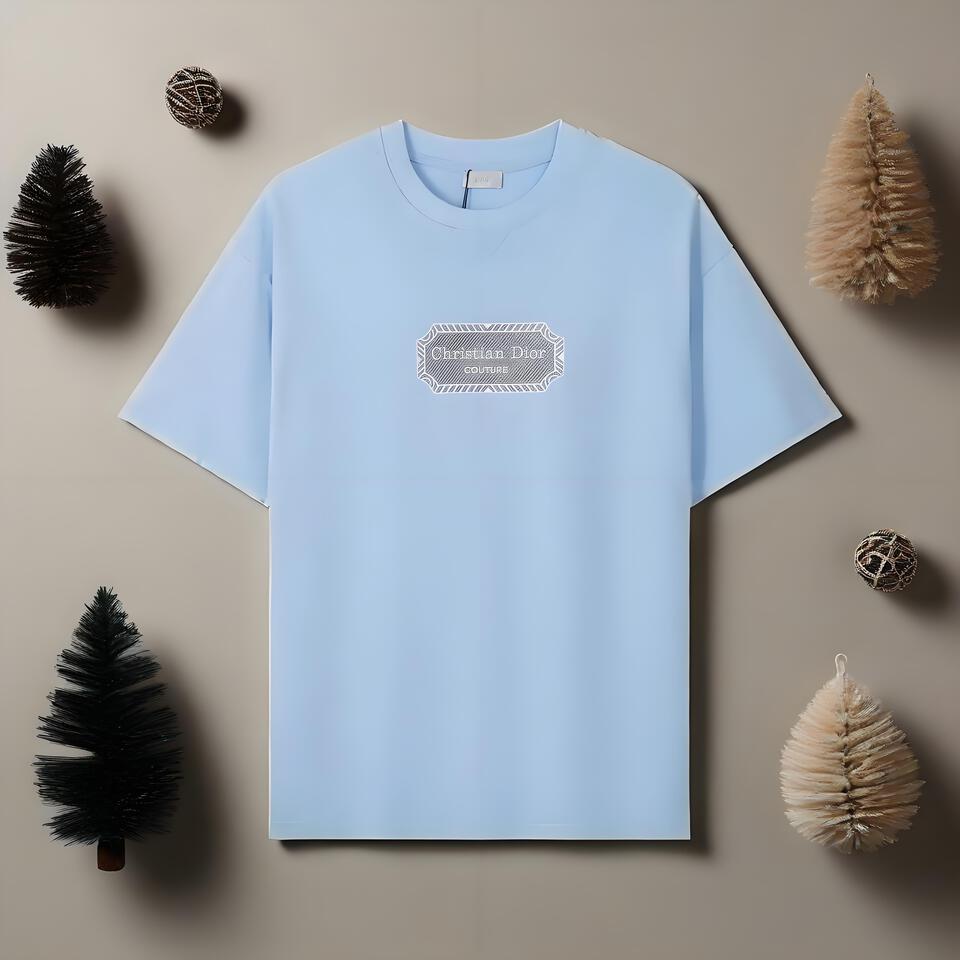 Christian Dior Light Blue Cotton Oversized Crewneck T-Shirt Unisex