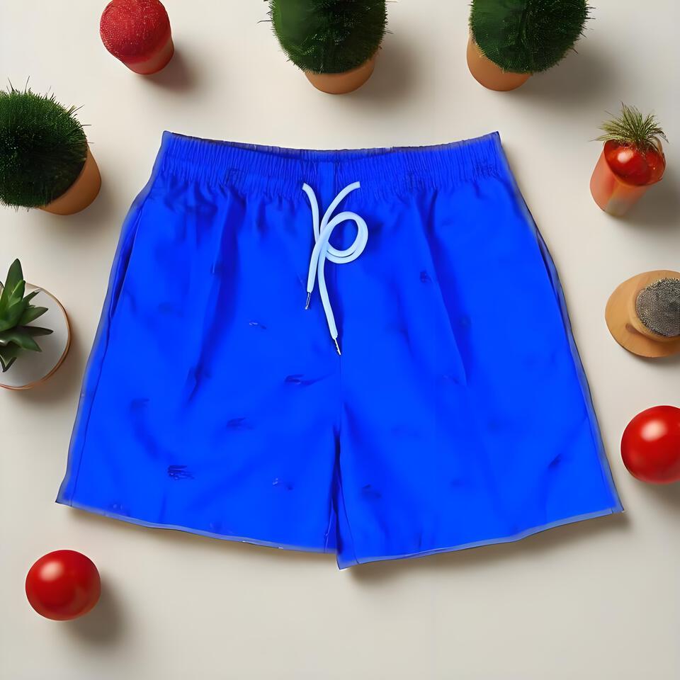 Lacoste Classic Blue Shorts Drawstring Breathable Men's Casual