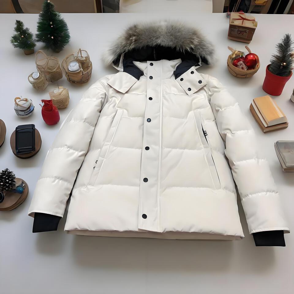 Men's Winter White Hooded Down Jacket Windproof